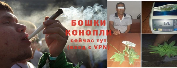 крисы Новозыбков
