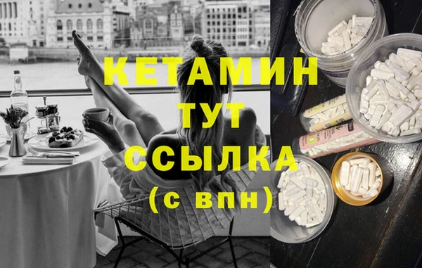 крисы Новозыбков