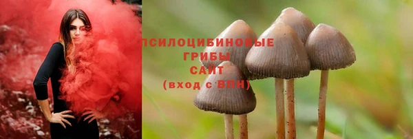 MESCALINE Новодвинск