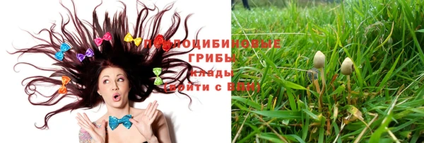 a pvp Няндома