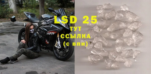 крисы Новозыбков