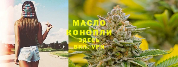 крисы Новозыбков