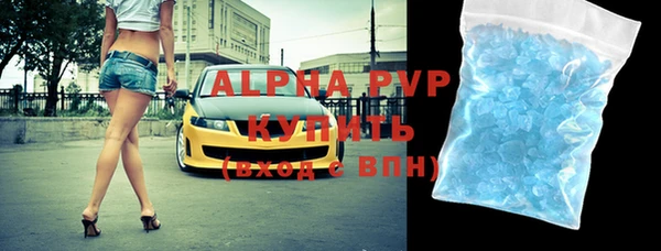 крисы Новозыбков