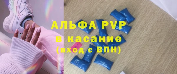 крисы Новозыбков