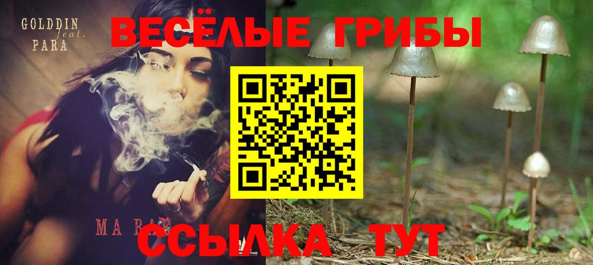 цены наркотик  Псилоцибиновые грибы прущие грибы  Вход с VPN  Кисловодск 