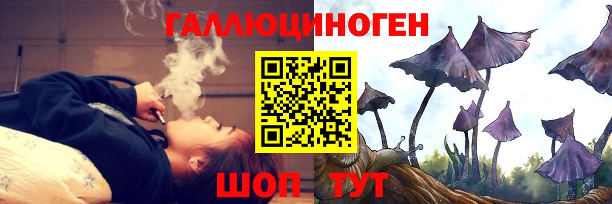 Псилоцибиновые грибы Magic Shrooms Кисловодск